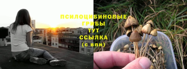 соль курить ск Алексеевка