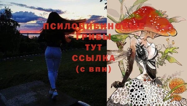 соль курить ск Алексеевка